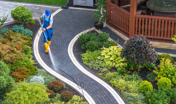 Best Exterior Home Cleaning  in South Dos Palos, CA